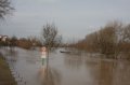 Hochwasser Seligenstadt 18.01.2011 020